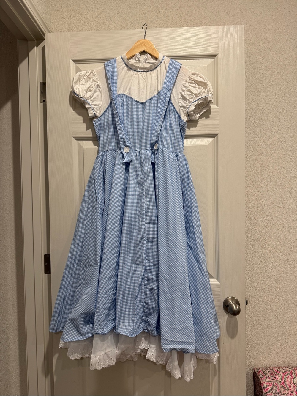 Blue Gingham Kids Storybook Costume Dress with White Blouse